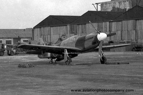 RAF North American Mustang I AM226 (1946)