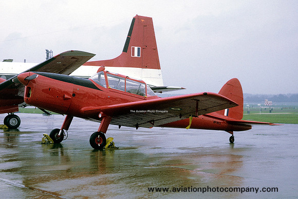 RAF Queen's Flight DHC.1 Chipmunk T.10 WP903 (1968)