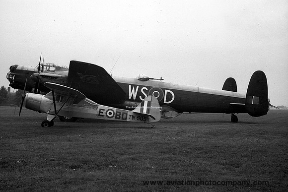 RAF Auster 5 TW505/BD-E
