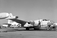 US Navy Los Alamitos Lockheed SP-2E Neptune 131462/7L-204