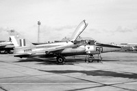 RAF 4 FTS Folland Gnat T.1 XS105/60 (1965)