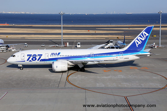 ANA Boeing 787-8 JA810A at Tokyo Haneda (2014)