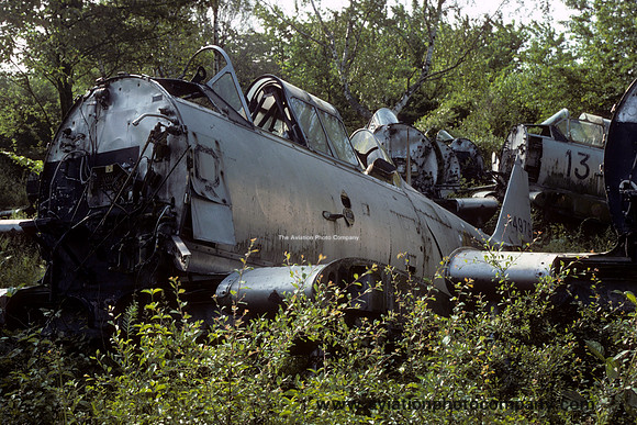 French Air Force North American T-6G-NH Texan 114979 at Ferte Alais (1977)