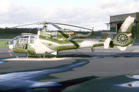 Army Air Corps 6 Flight Westland Gazelle AH.1 XZ335 (1998)