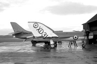 Scimitar (Supermarine)