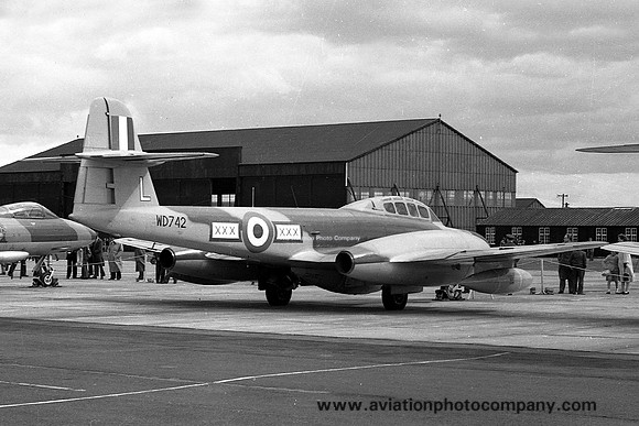 RAF 29 Squadron Gloster Meteor NF.11 WD742/L (1957)