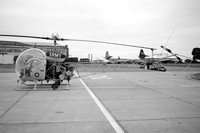 Army Air Corps Blue Eagles Westland Sioux AH.1 XT193 (1970)