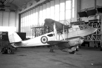 Dominie (De Havilland)