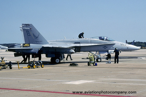 US Navy VFA-134 McDonnell Douglas F/A-18C Hornet 164209/AG-303 (2001)